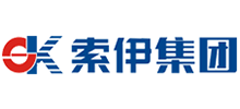 六安索伊电器制造有限公司