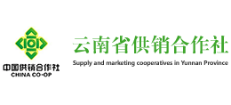 云南供销电子商务股份有限公司